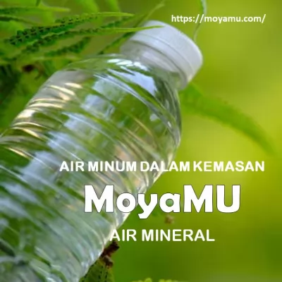 Apakah Air dalam Kemasan Botol Dapat Menurun Kualitasnya?